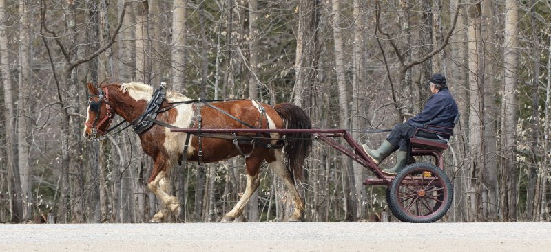 a cheval