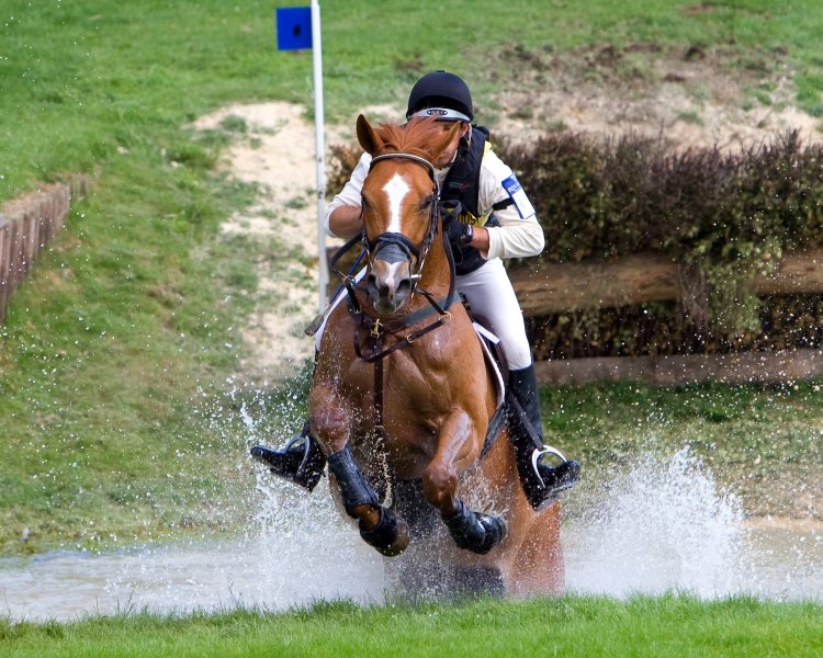 Horse Trial Water Obstacle