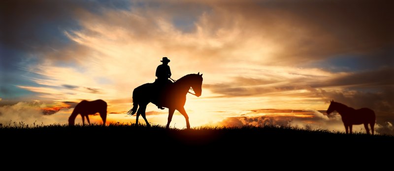 A silhouette of a cowboy and horse at sunset