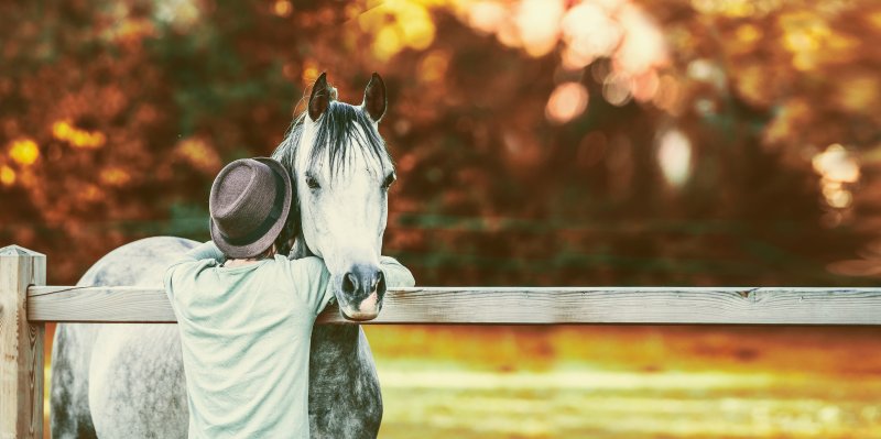 Guy bumped his head in neck of horse at fence in stable on background of autumn foliage