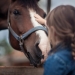 Cute girl feeding her horse in paddock