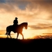 A silhouette of a cowboy and horse at sunset