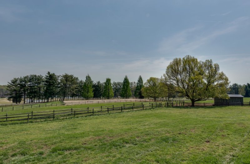 Pasture& Arena (Custom)