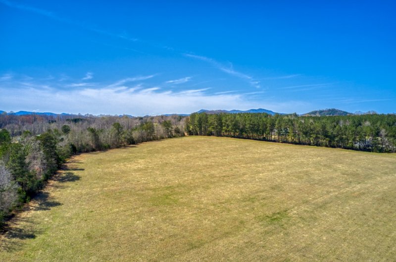 Established-Pasture