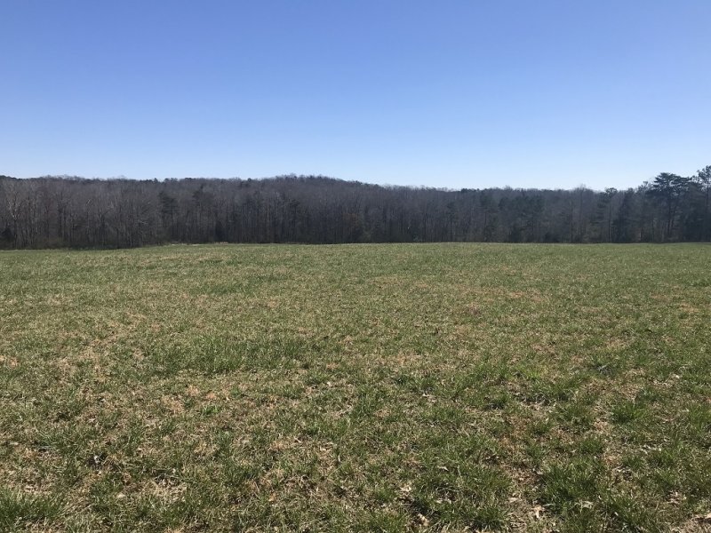 Pasture