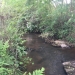 Creek
