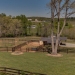 Barn & Pastures