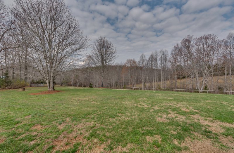 Backyard 2