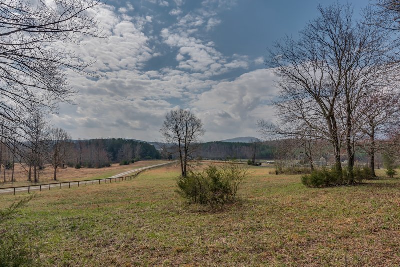 Front Pasture