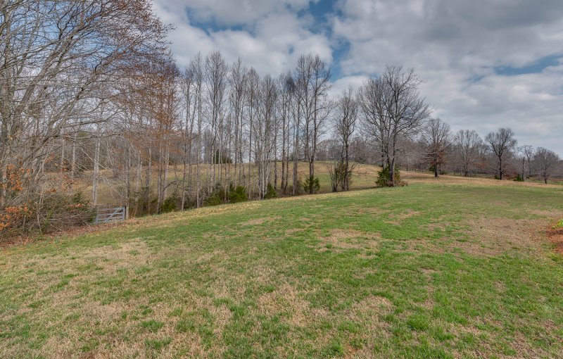 Pasture 2