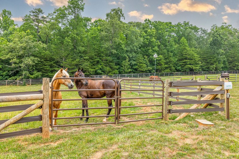 35-Fenced-Pastures