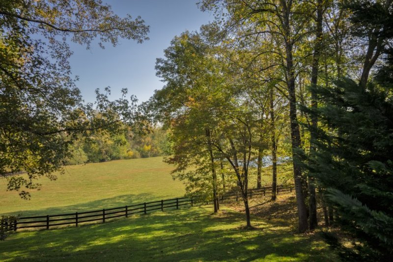 Lush-Pasture-behind-barn