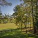 Lush-Pasture-behind-barn
