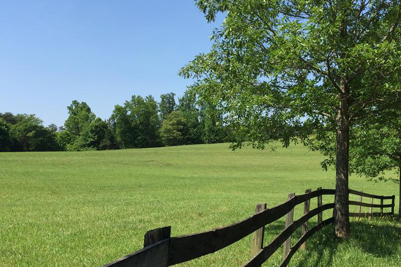Tryon Properties Equestrian Properties, Horse Farms, Luxury Estates